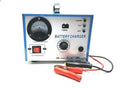 Зарядно за акумулатор/Зарядно за автомобили, 12V/24V - 100Ah - снимка 1
